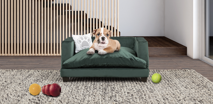Cama Para Mascota Pet Laika Esmeralda