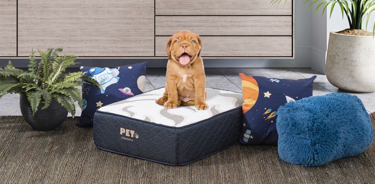 Colchón Pet Bambino Blue Firme
