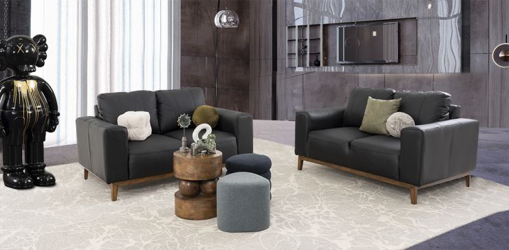 Sala Piel Littio Negro 2 Piezas