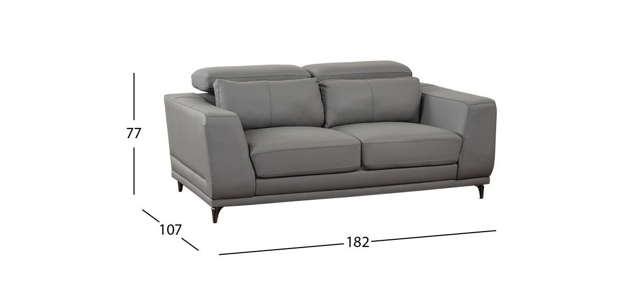 Sofá 2 Plazas Piel Lecce Gris