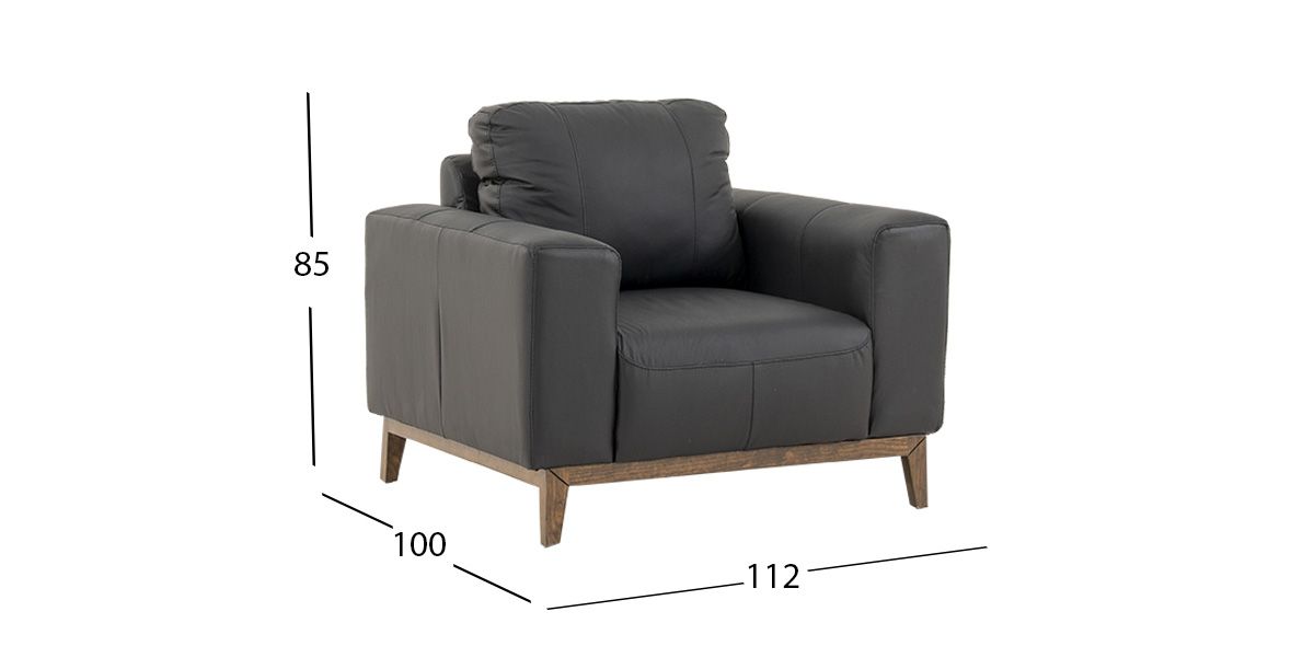 Sillón Piel Littio Negro